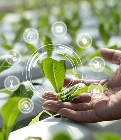 Smart Agritech Solutions